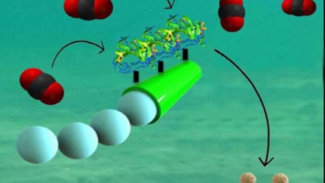Nanoingenieros han inventado micromotores tubulares diminutos que eliminan eficazmente el dióxido de carbono de las aguas