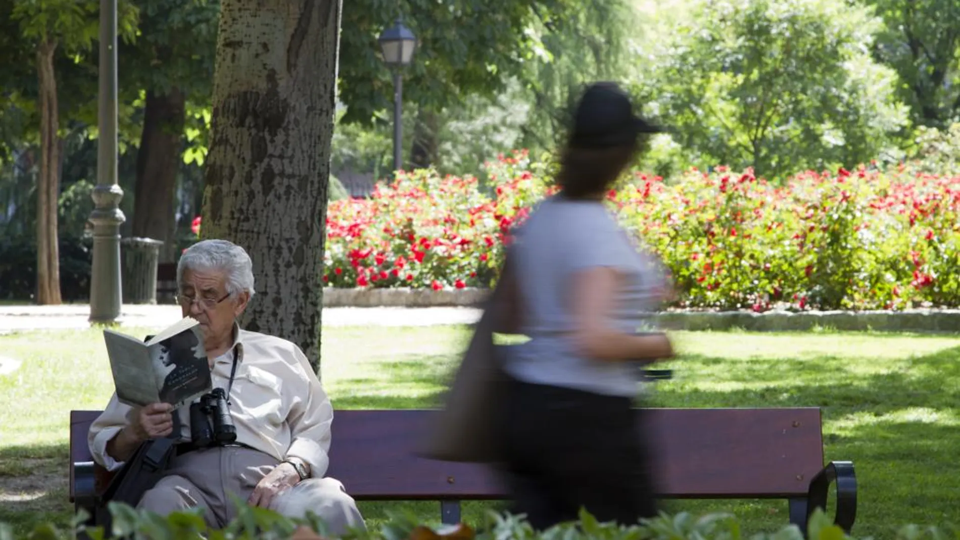 Un hombre concentrado en su libro en un parque de Madrid