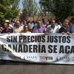 Asaja y UCCL celebran una concentración en defensa del ovino de leche