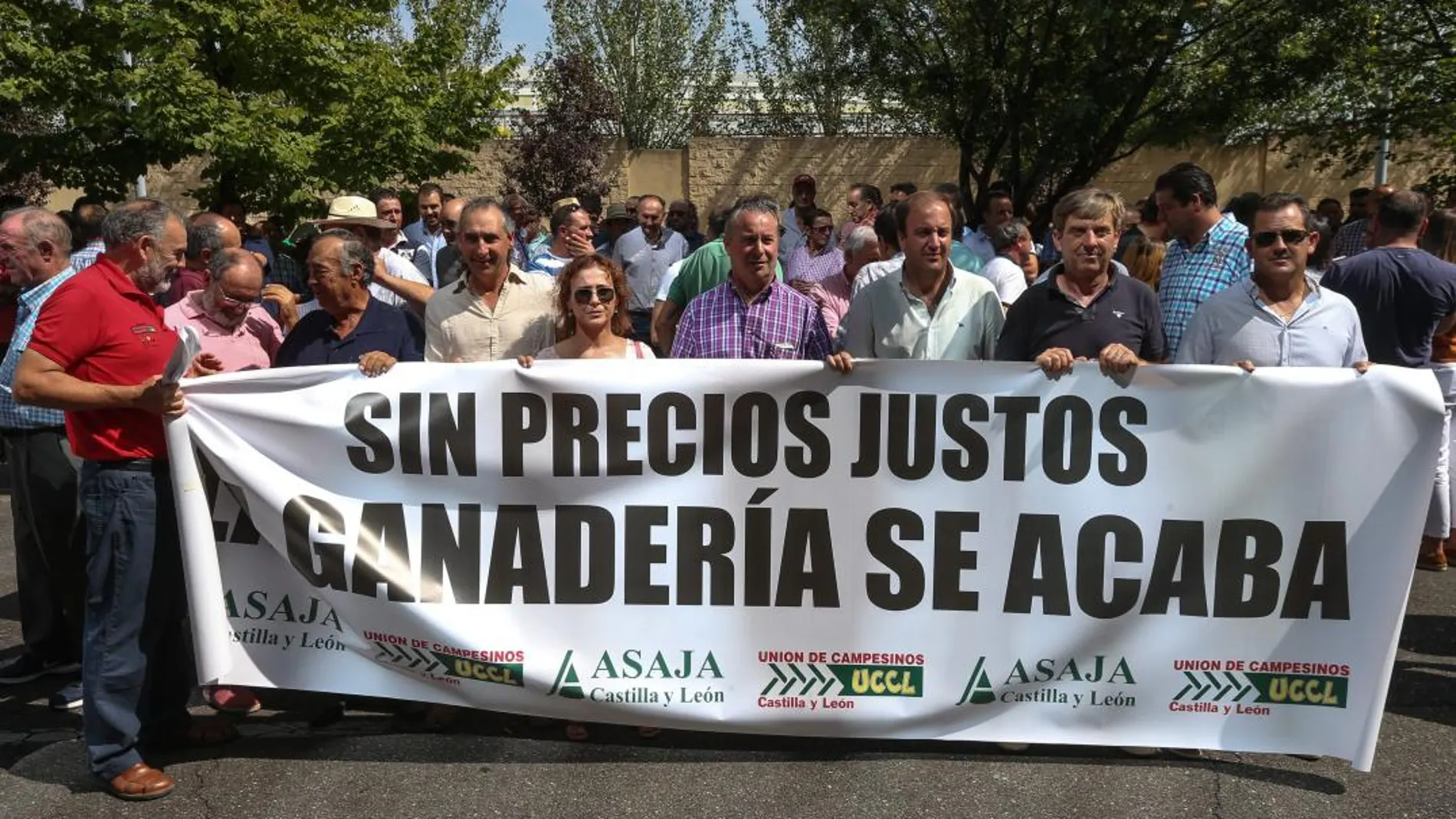 Asaja y UCCL celebran una concentración en defensa del ovino de leche