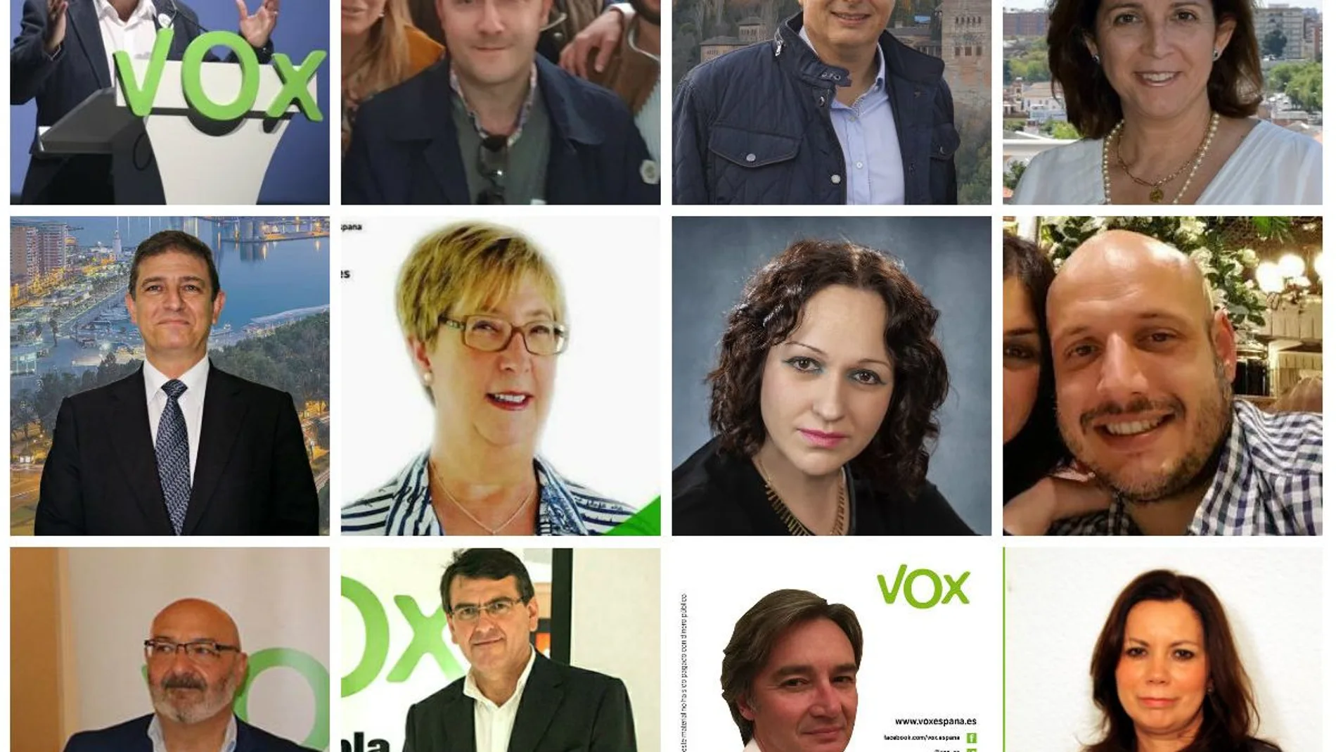 Imagen de los 12 diputados logrados por VOX en las elecciones de ayer