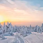 El invierno en Laponia es frío, pero oculta secretos maravillosos