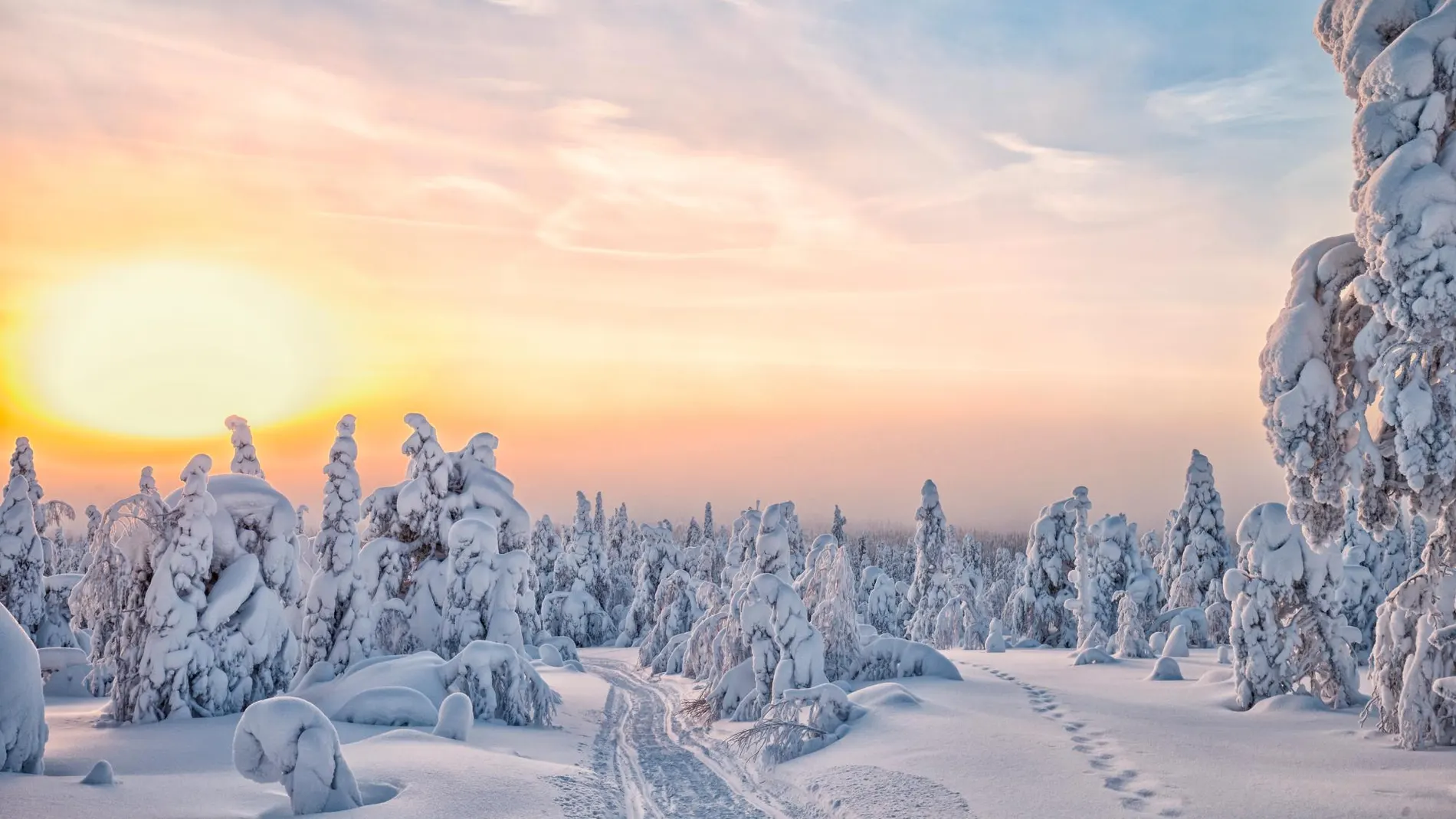 El invierno en Laponia es frío, pero oculta secretos maravillosos