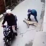 Modus operandi de los traficantes de carne caninos en Vietnam