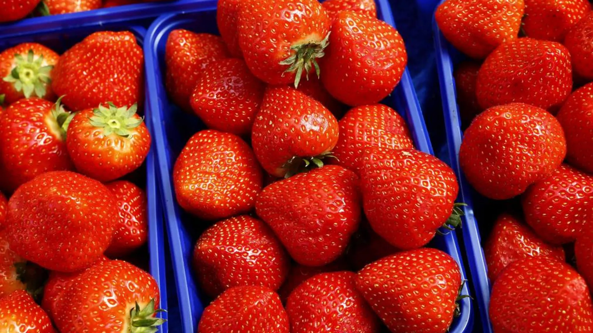 Crean un vinagre de fresa saludable con excedentes de fruta