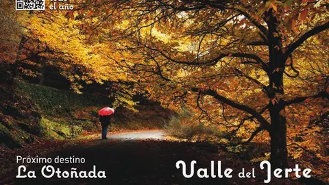 Mercados artesanos, talleres micológicos, visitas guiadas, rutas senderistas, degustaciones gastronómicas, seminarios... los atractivos de la «Otoñada» en el Valle del Jerte / La Razón