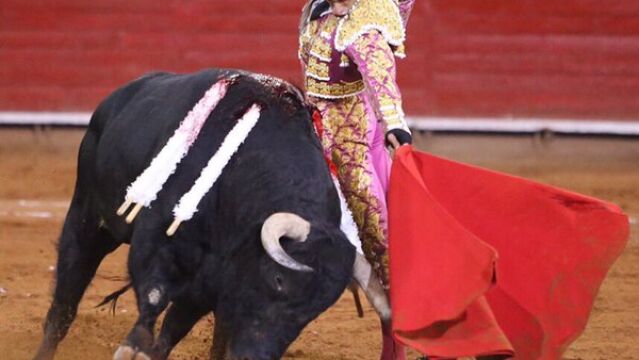 Natural de Talavante, anoche en La México