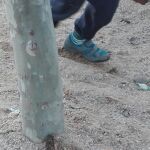 Última foto tomada por Luis Muñoz donde se ve que los servicios de Limpieza aún no han pasado por el parque infantil