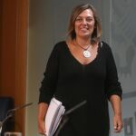 La consejera de Agricultura y Ganadería y portavoz de la Junta de Castilla y León, Milagros Marcos, explica los acuerdos alcanzados en el Consejo de Gobierno