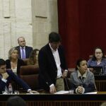 El grupo parlamentario de Cs, durante el último Pleno del Parlamento andaluz
