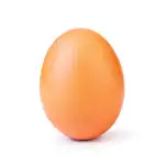 Tanto los huevos ecológicos como los huevos camperos proceden de gallinas criadas al aire libre. Sin embargo, se diferencian en la alimentación