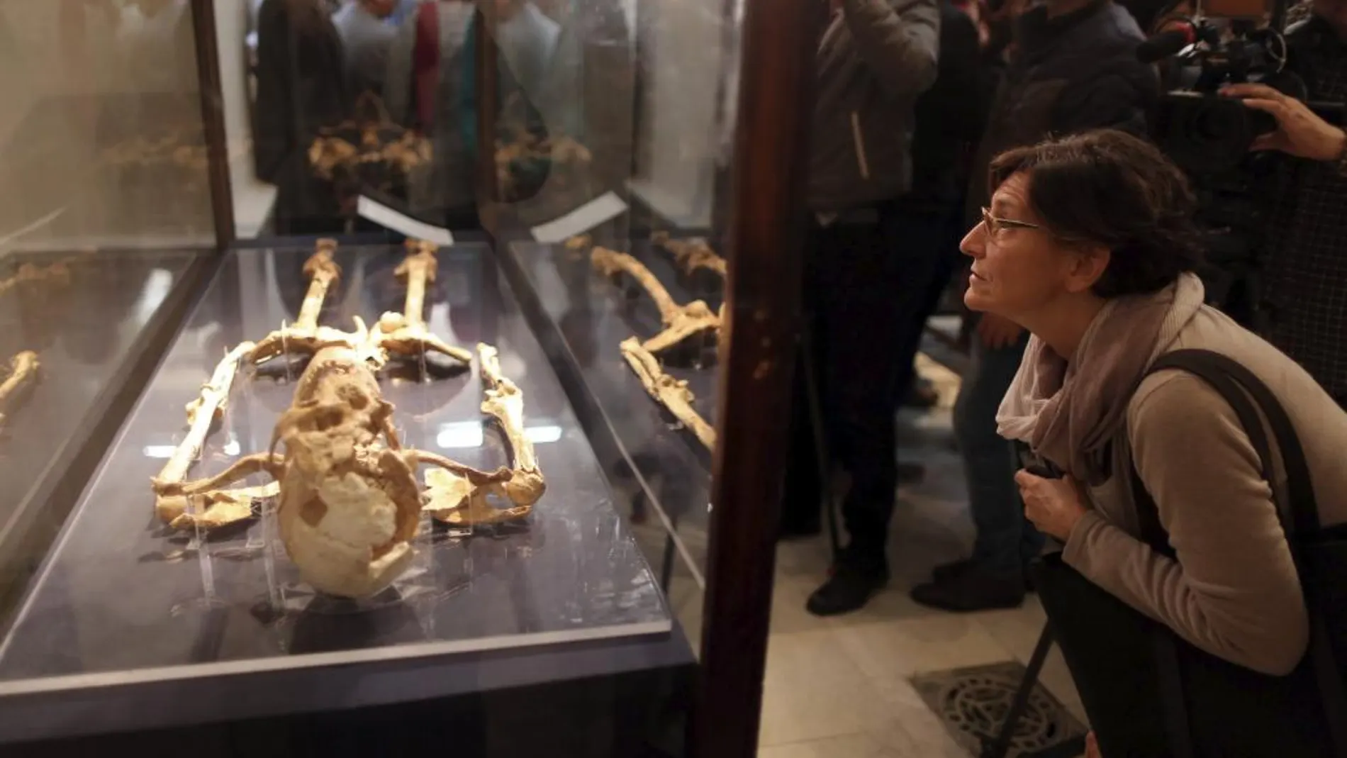 Una mujer observa el esqueleto que data de la prehistoria que forma parte de la exposición de objetos repatriados tras su restauración en el Museo Egipcio de El Cairo, Egipto .(EFE/Khaled Elfiqi)