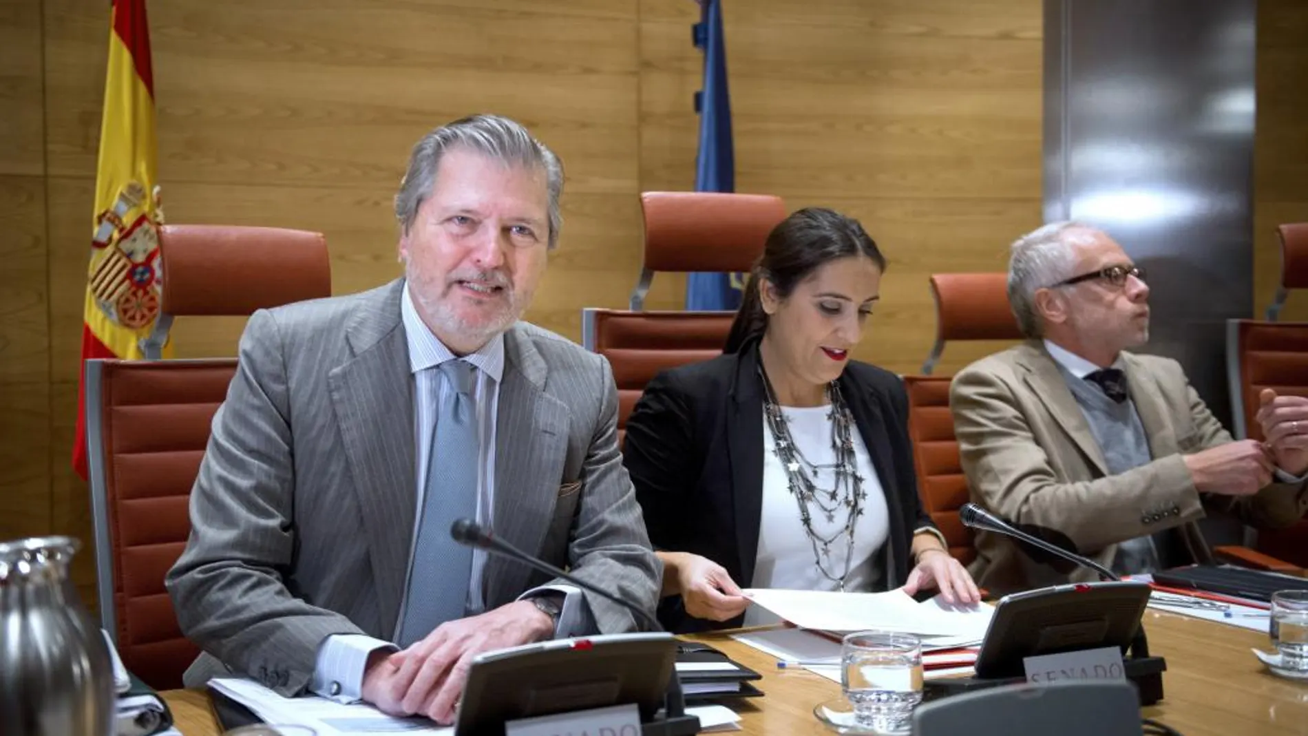 El ministro de Educación, Cultura y Deporte, Íñigo Méndez de Vigo, durante su comparecencia ante la Comisión de Educación y Deporte del Senado