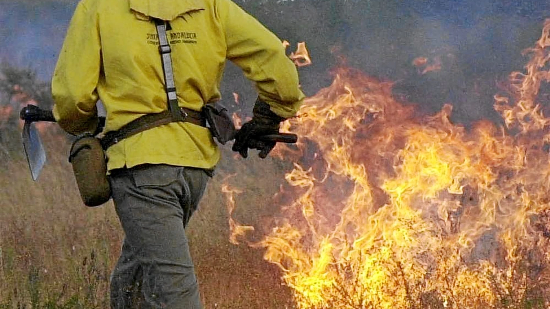 Efectivo del Plan Infoca trabaja en la extinción de un incendio.