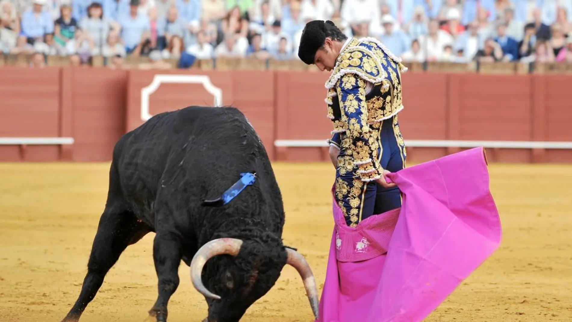 Manos bajas de El Fandi para mecer el capote en esta media verónica