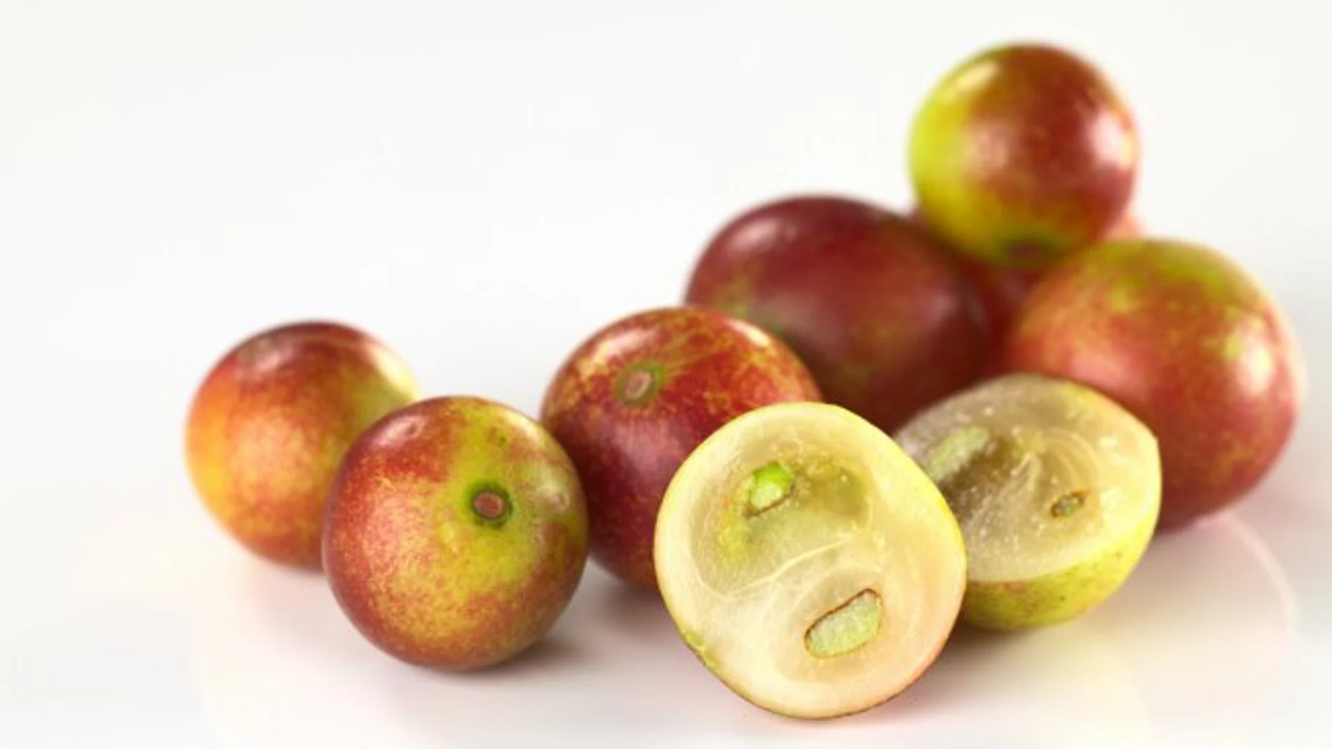 Camu-camu/Agroforum Perú