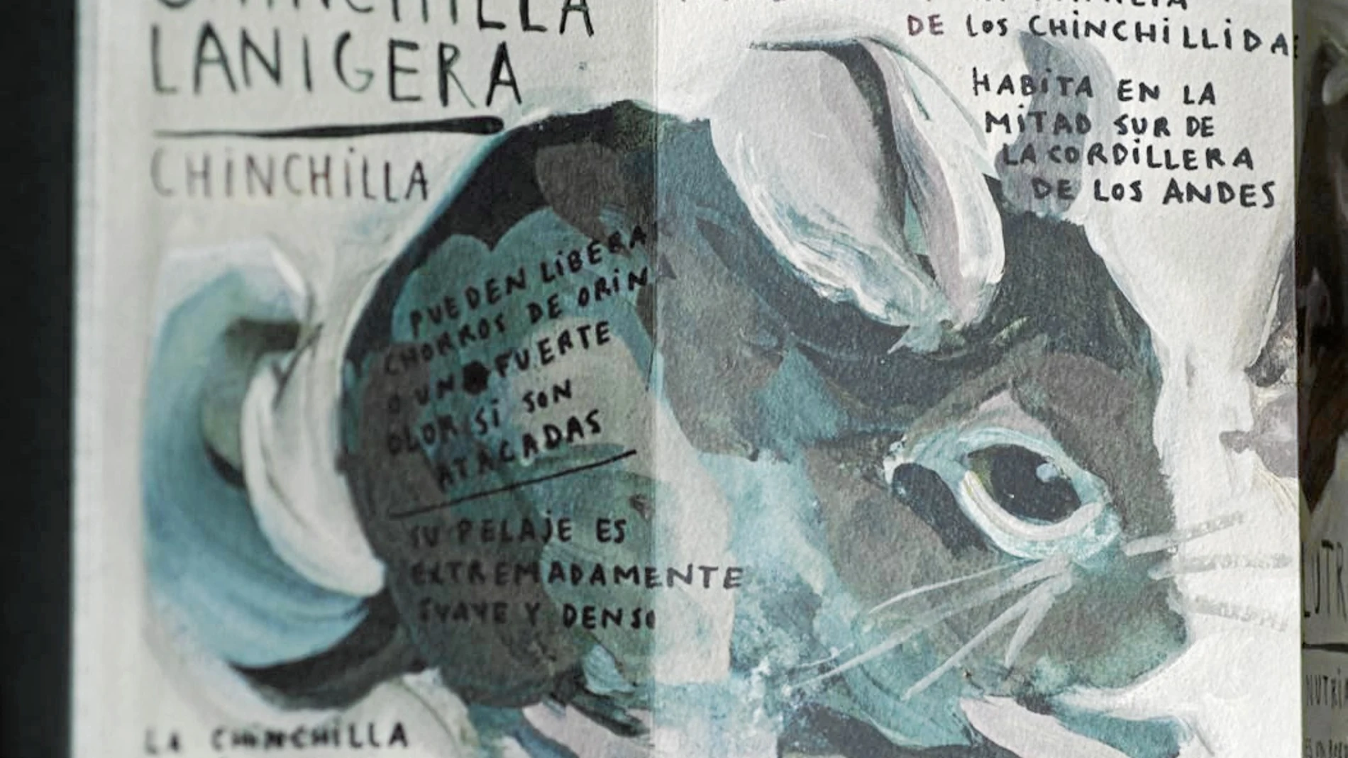 Una imagen de «Roedores», el cuento que realizó Paula Bonet para la criatura que estaba esperando/ Literatura Random House
