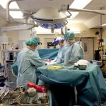 Un trasplante de útero en Suecia, en una imagen de archivo