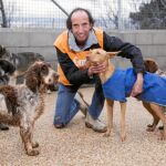 Nacho Paunero, presidente de El Refugio, rodeado de algunos de los perros que buscan ser adoptados