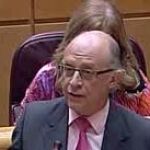 El ministro de Hacienda, Cristóbal Montoro, hoy 19 de enero de 2013 en el Senado,