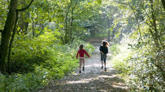 Siete campings para disfrutar en familia