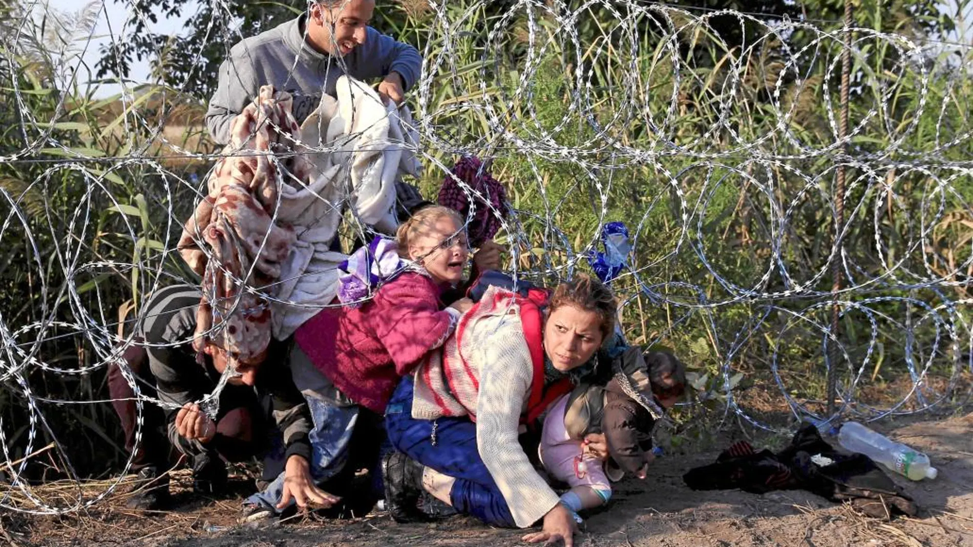Emigrantes sirios cruzan la frontera entre Hungría y Serbia, cerca de la ciudad de Roszke