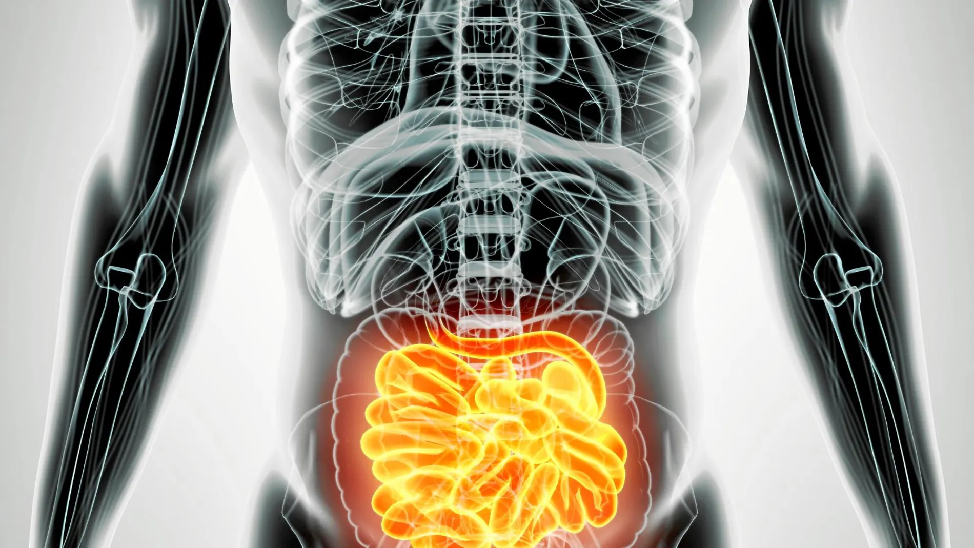 Los nanoplásticos afectan al microbioma intestinal