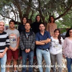 Los investigadores de la Unidad de Biotecnología Celular del Instituto de Salud Carlos III