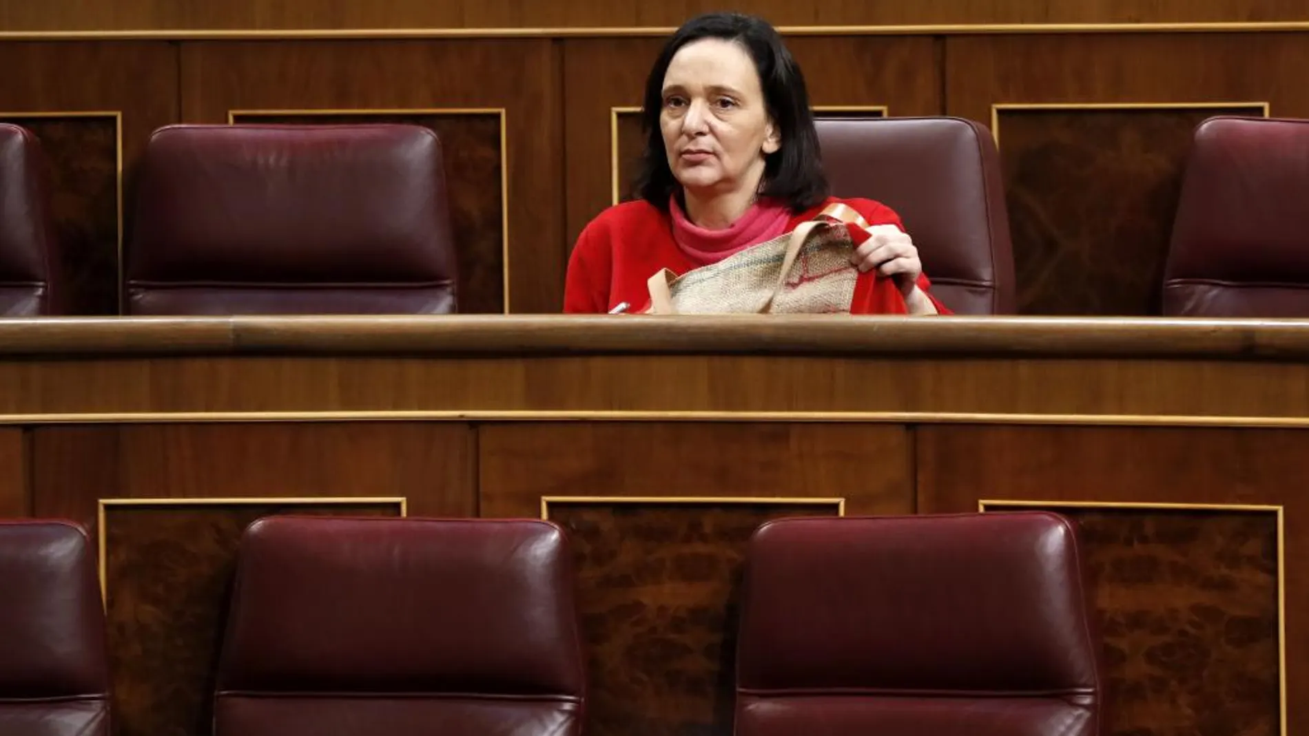 La diputada de Podemos y exsecretaria de Análisis Político del partido, Carolina Bescansa