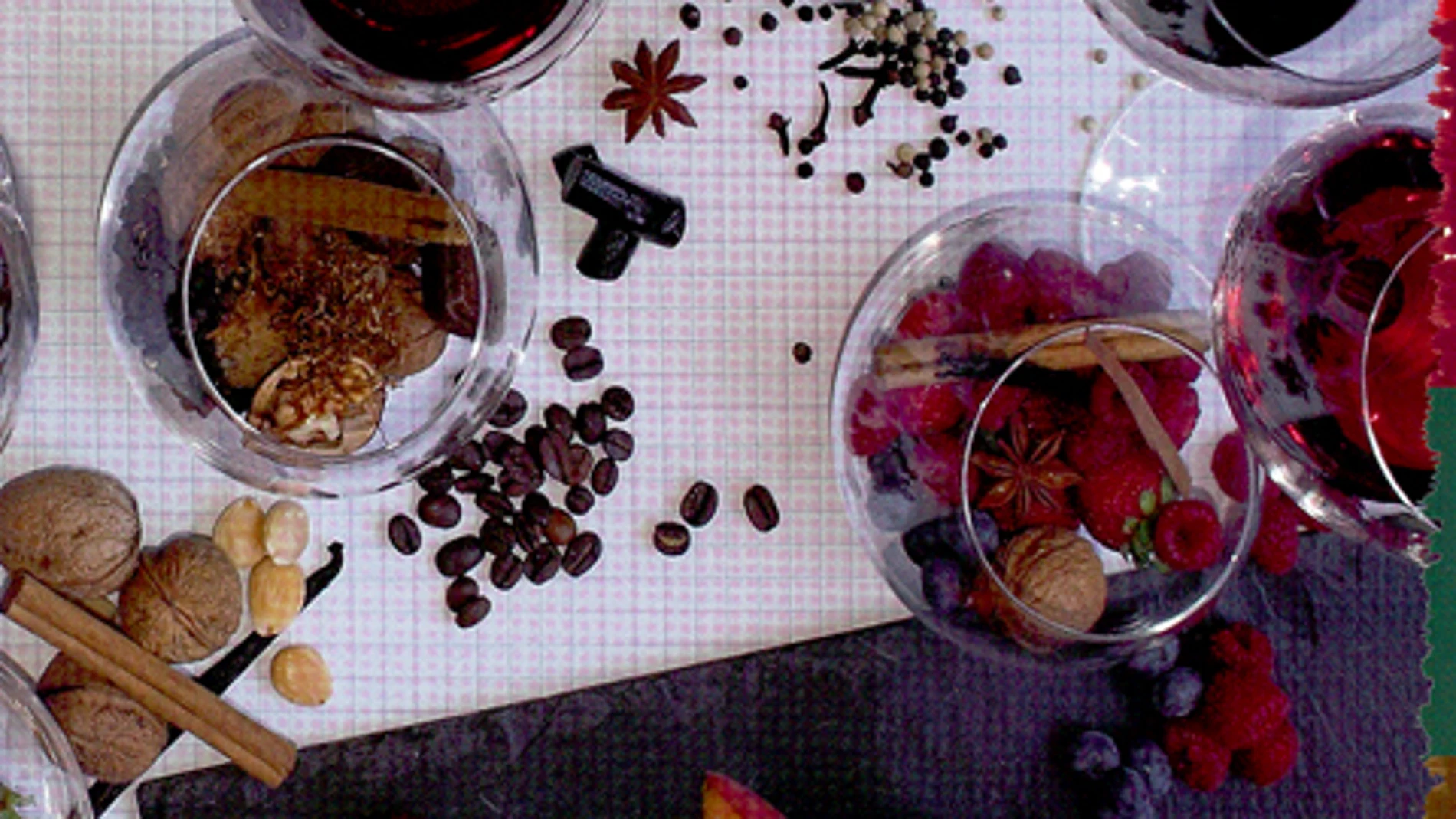 «Guía Intervinos 2013»