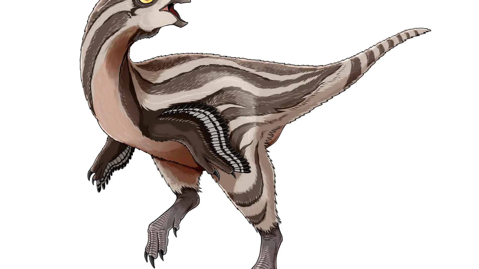 Descubren una nueva especie de oviraptorosaurios en Mongolia