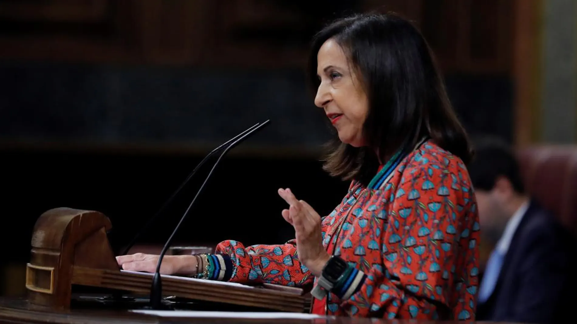 La ministra de Defensa, Margarita Robles, durante su intervención en la sesión de control al Gobierno hoy en el Congreso. EFE/Juan Carlos Hidalgo