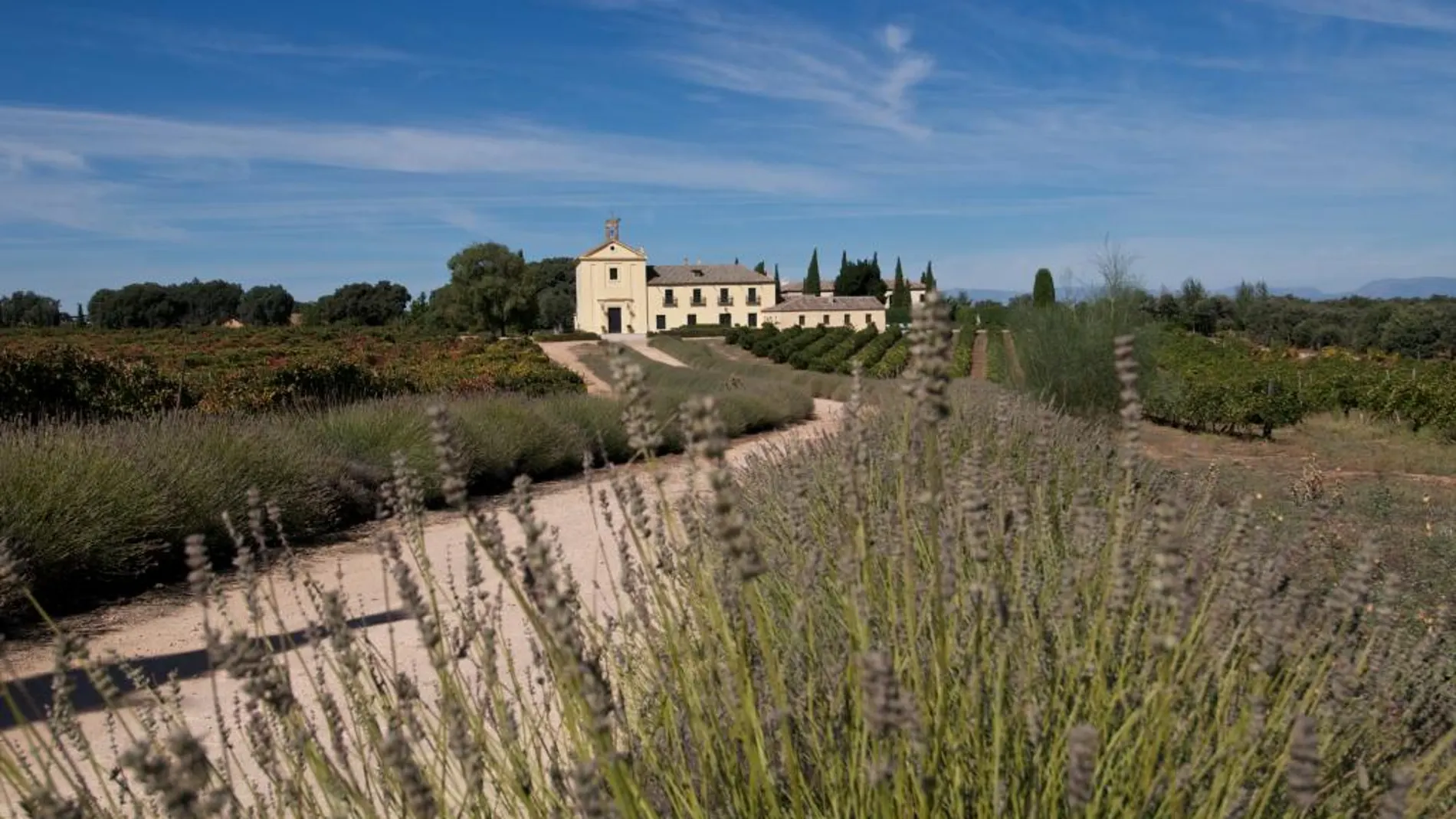Marqués de Griñón «Family Estates»