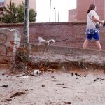Villaverde y Tetuán eran los dos distritos que más acusaban este tipo de suciedad, según el Ayuntamiento. En la imagen, un parque de la zona de la calle Pablo Iglesias (Tetuán), ayer