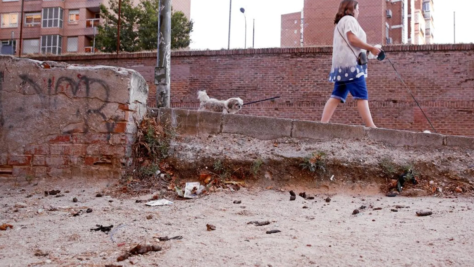 Villaverde y Tetuán eran los dos distritos que más acusaban este tipo de suciedad, según el Ayuntamiento. En la imagen, un parque de la zona de la calle Pablo Iglesias (Tetuán), ayer
