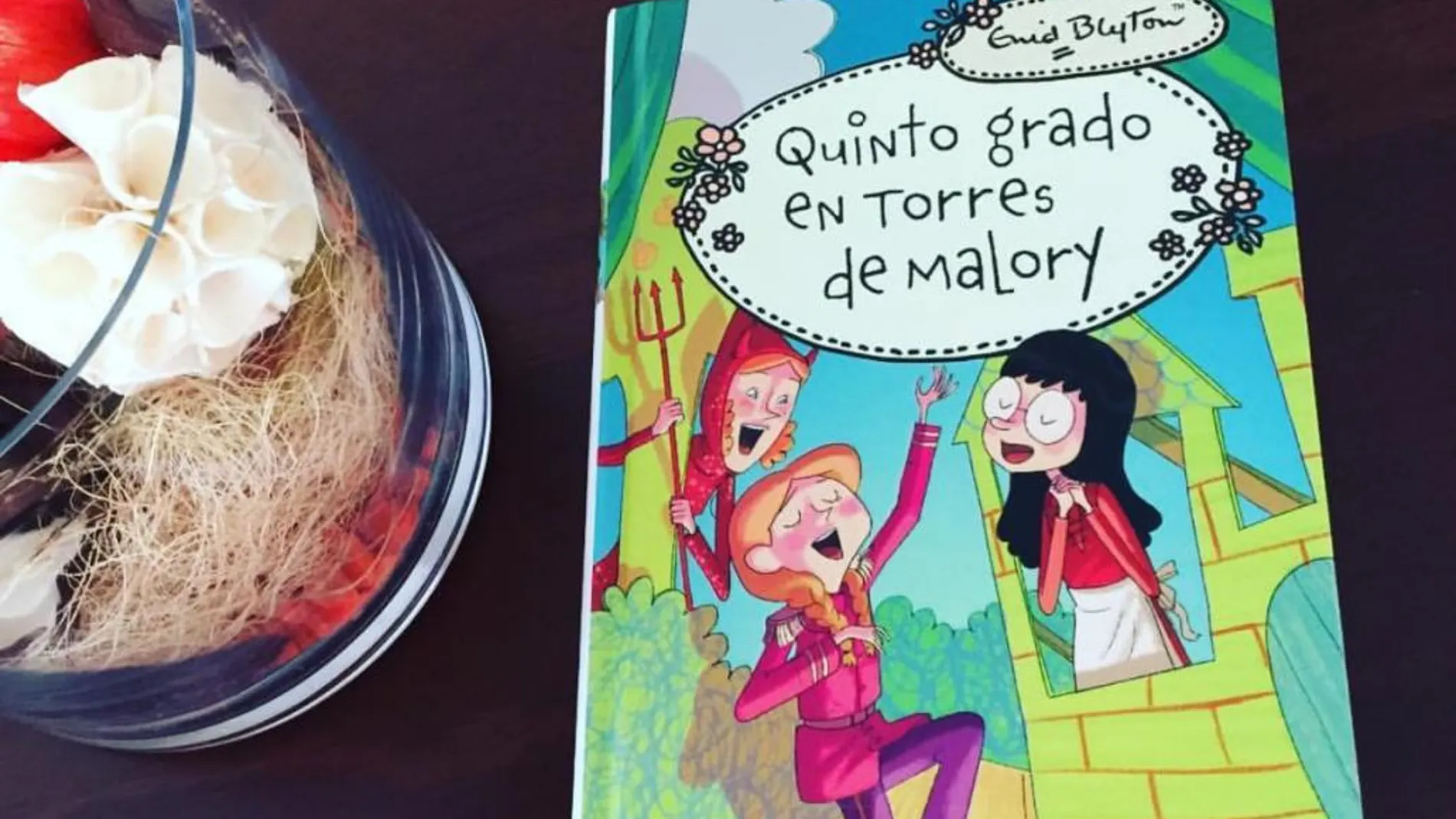 Torres de Malory, una saga de Enid Blyton para niñas de entre 8 y 12 años.