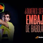 Embajador Babolat