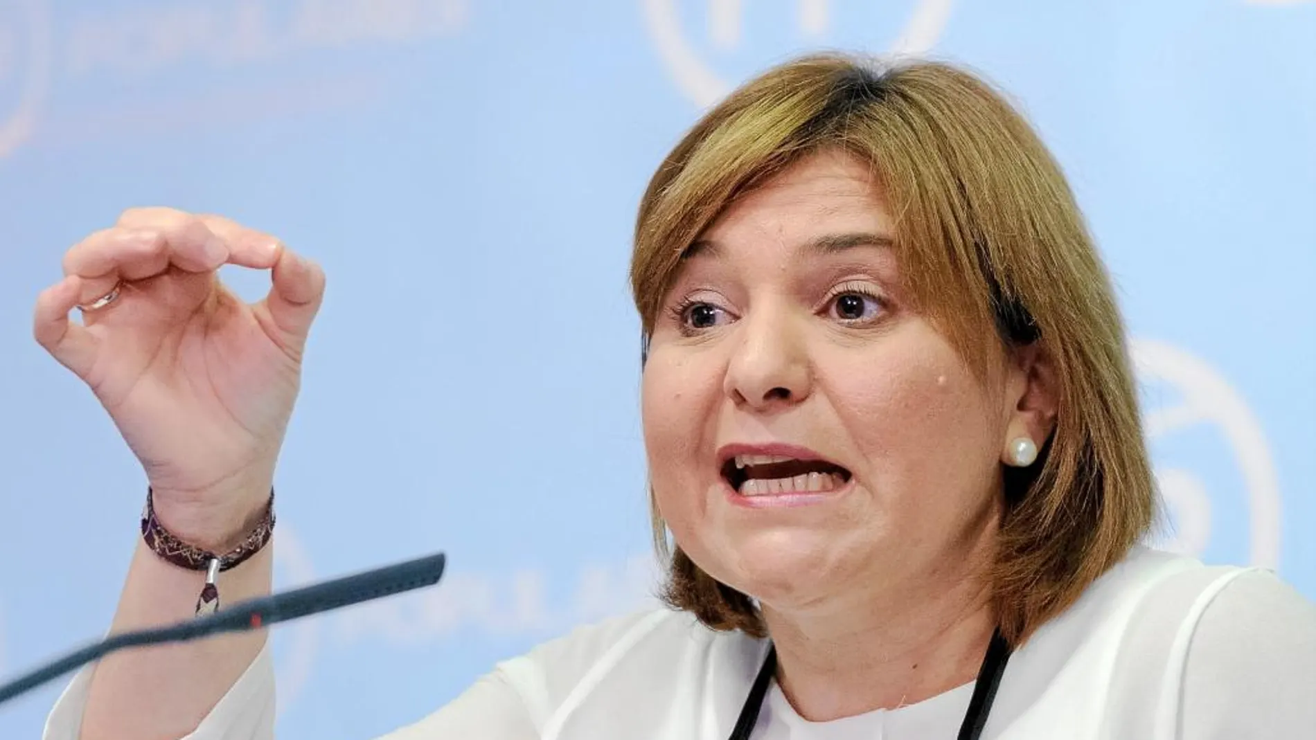 Bonig considera que el Consell se dedica a generar conflictos