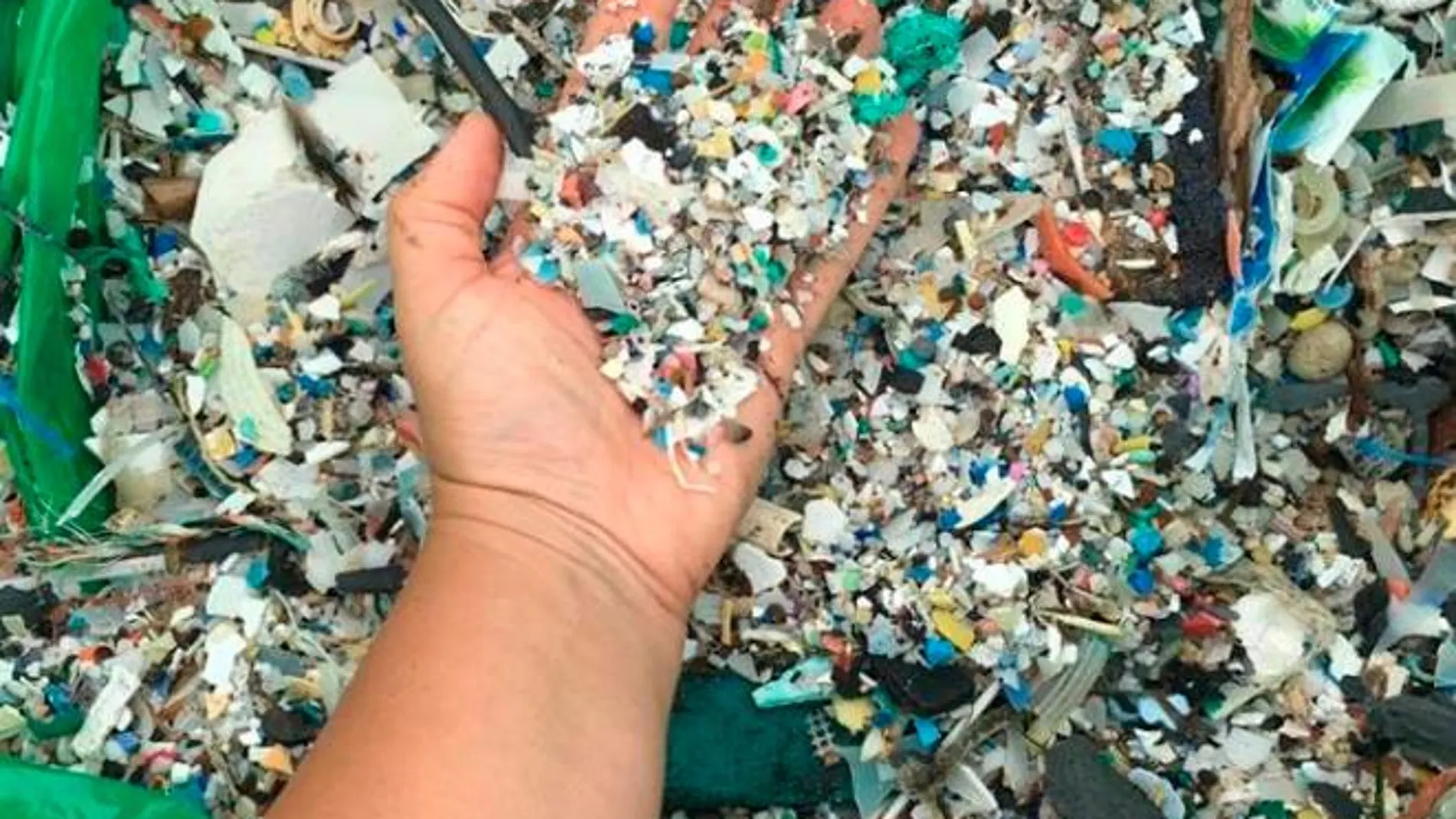 Plásticos recogidos en Tenerife