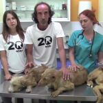 El Refugio rescata tres perros en pésimas condiciones utilizados para la caza