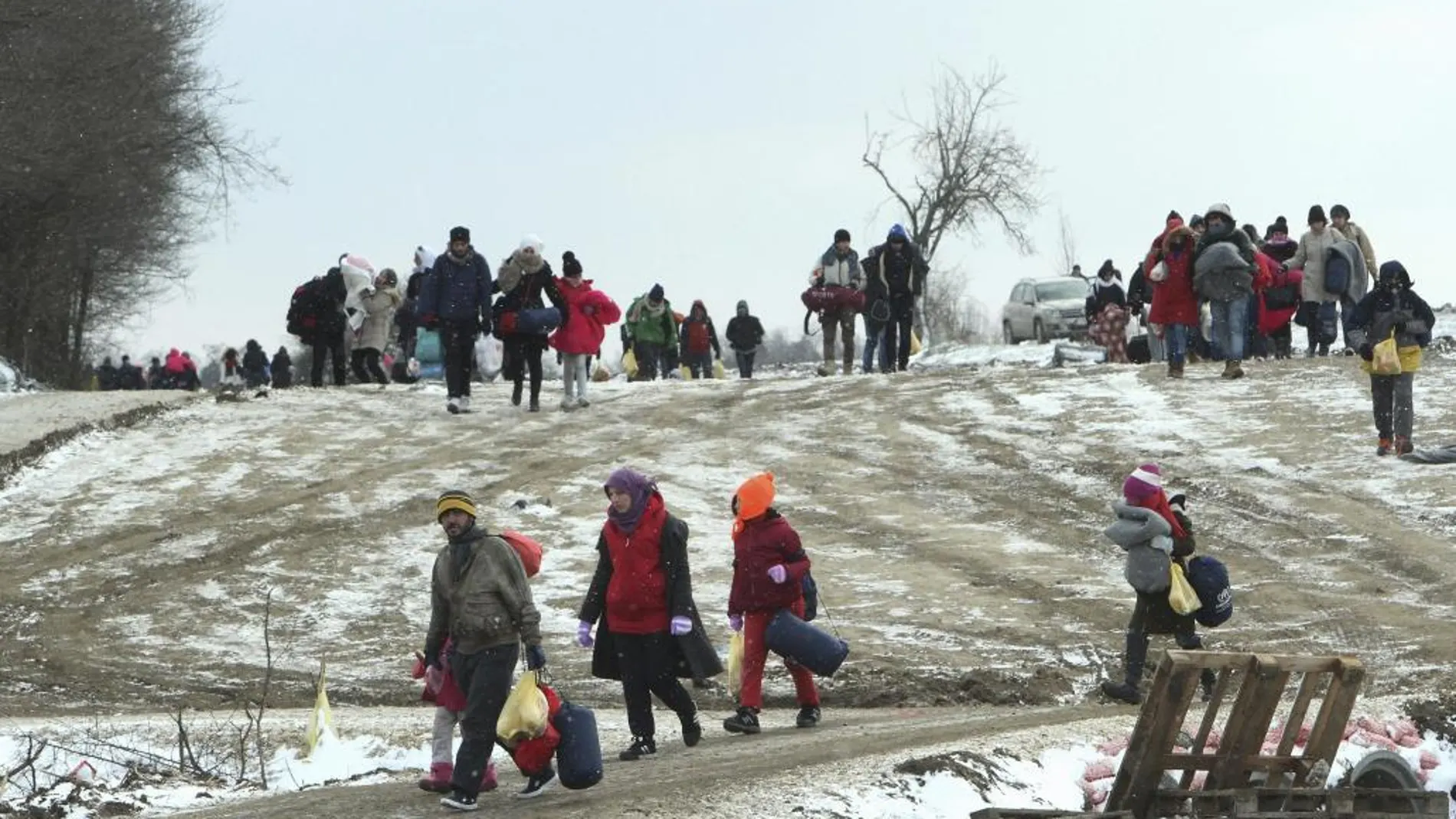 Refugiados de Siria, Irak y Afganistán caminan hacia un campamento temporal para inmigrantes en el pueblo de Miratovac, en Serbia
