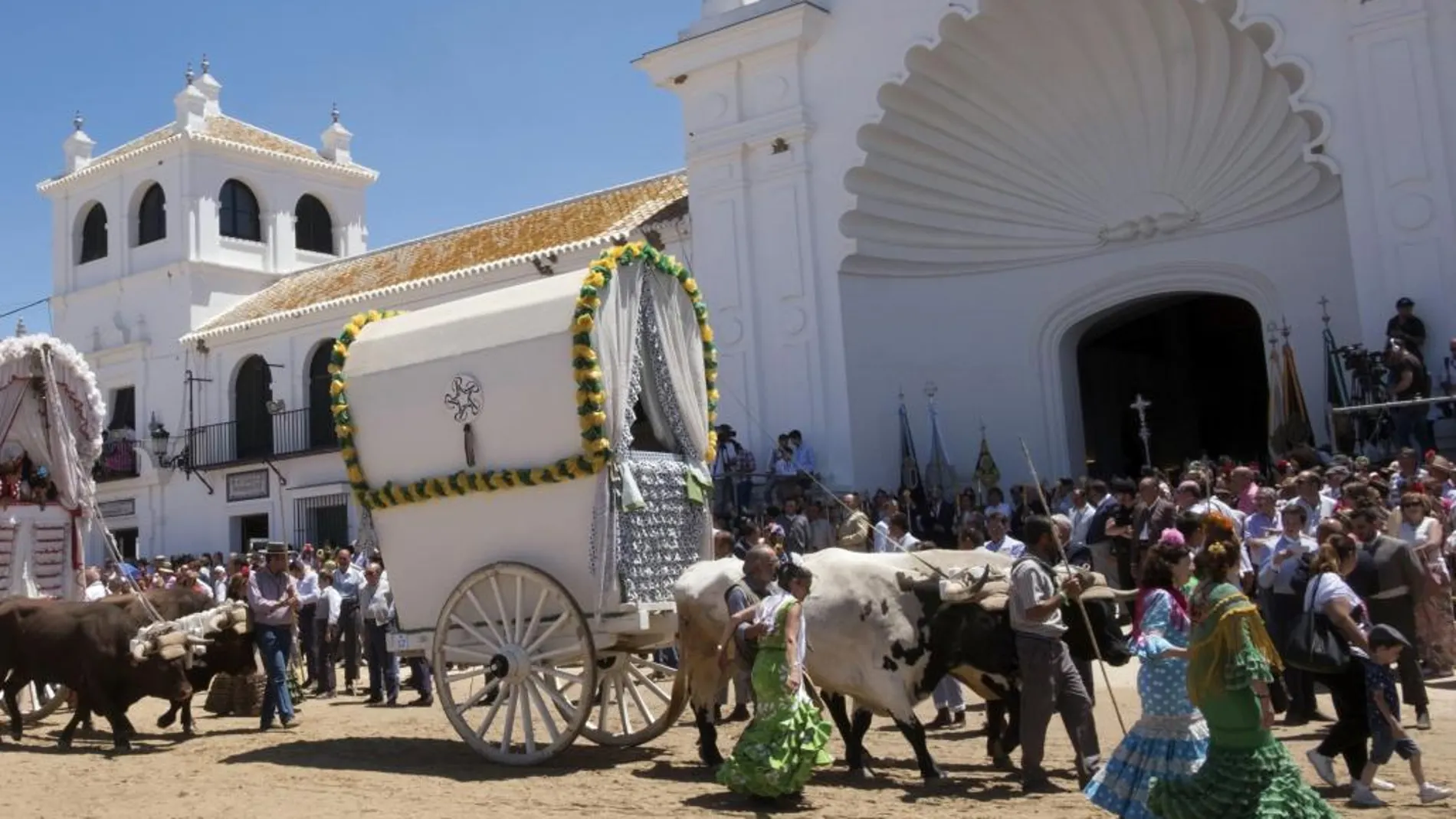 Presentación de las hermandades ante la Blanca Paloma