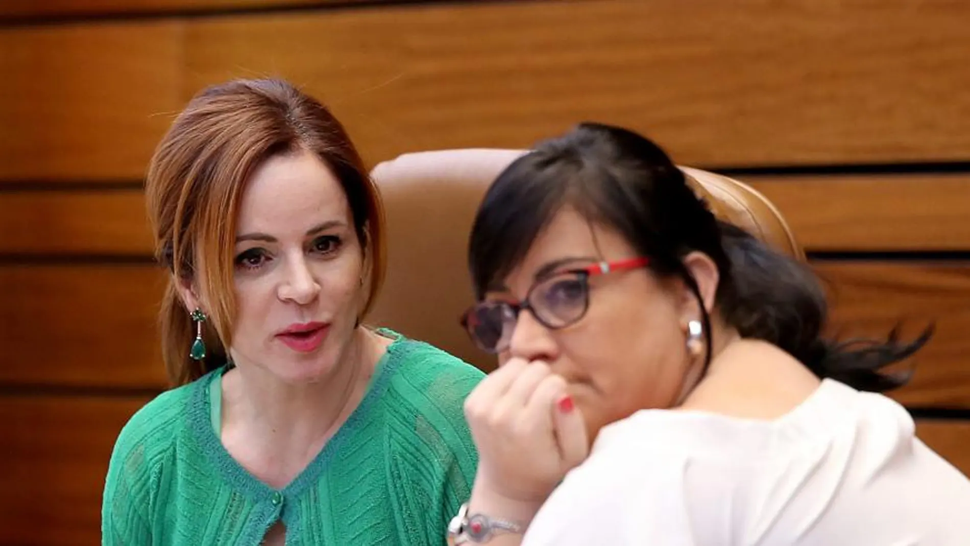La presidenta del Parlamento autonómico, Silvia Clemente, conversa con la vicepresidenta segunda de las Cortes, la socialista Ana Sánchez