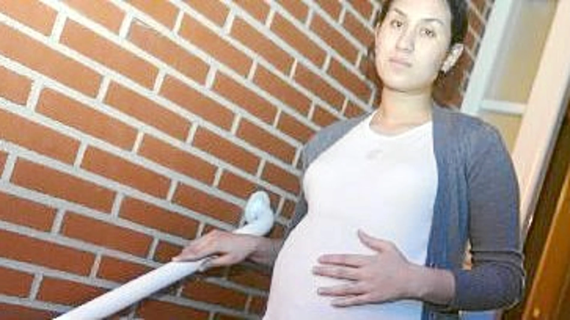 La embarazada debe evitar contacto con el plomo