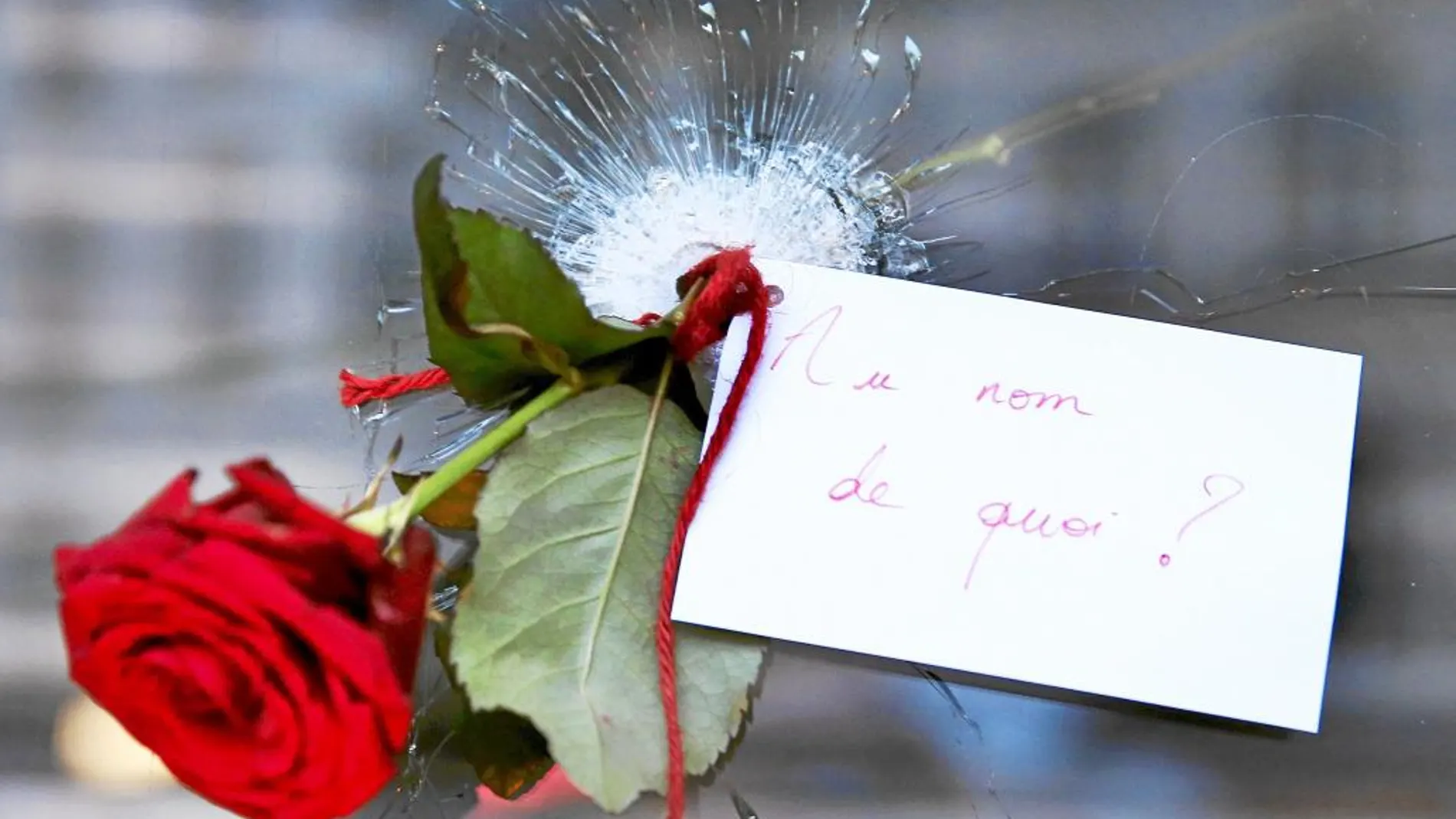 Una flor como homenaje a las víctimas y una pregunta al aire para la que la barbarie no tiene respuesta: «¿En nombre de qué?»