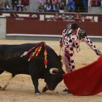 Paco Ureña torea al natural, ayer