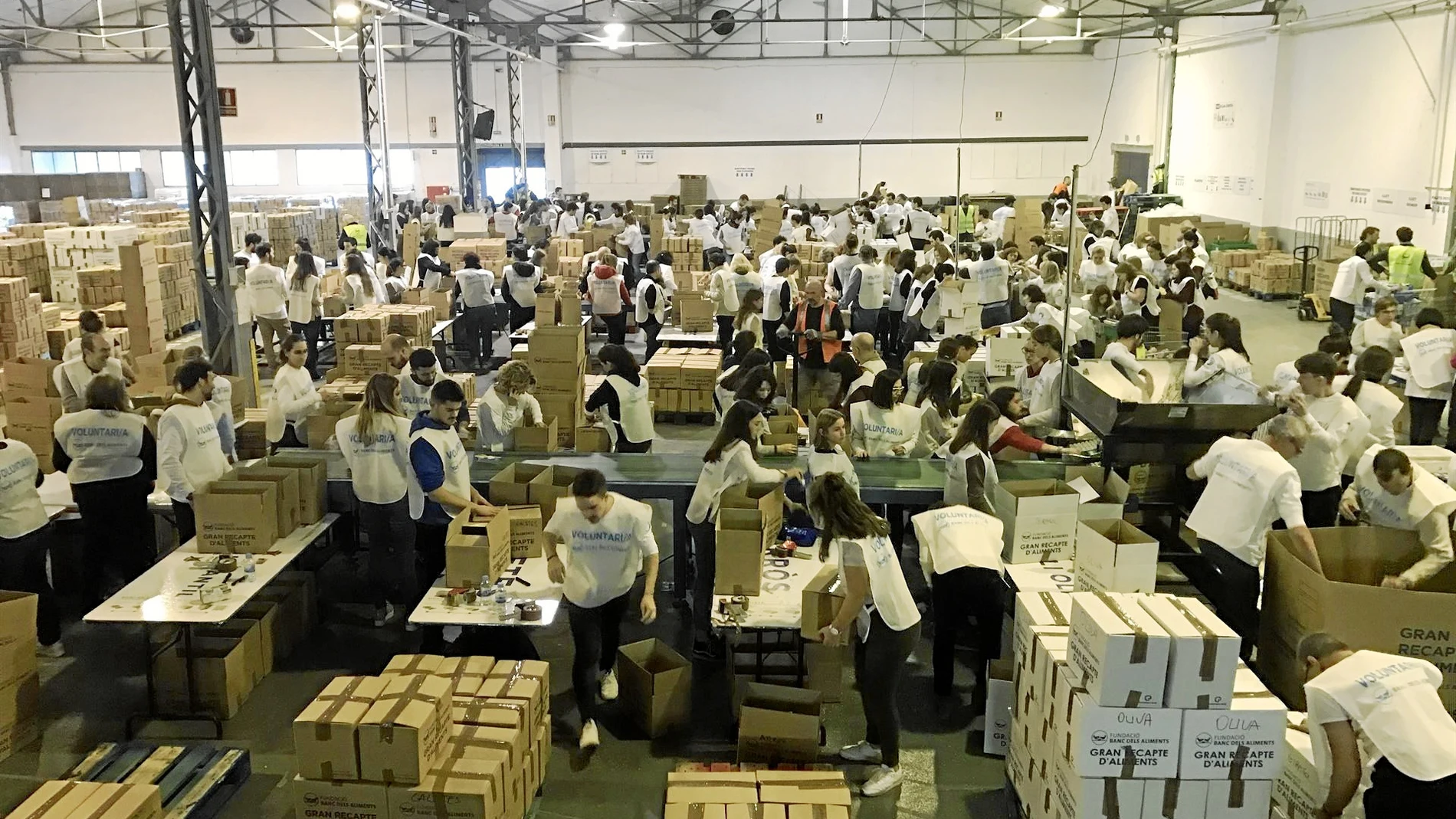 Imagen de la nave cedida por el Consorcio de la Zona Franca en Barcelona, donde se clasifican los alimentos, ayer.