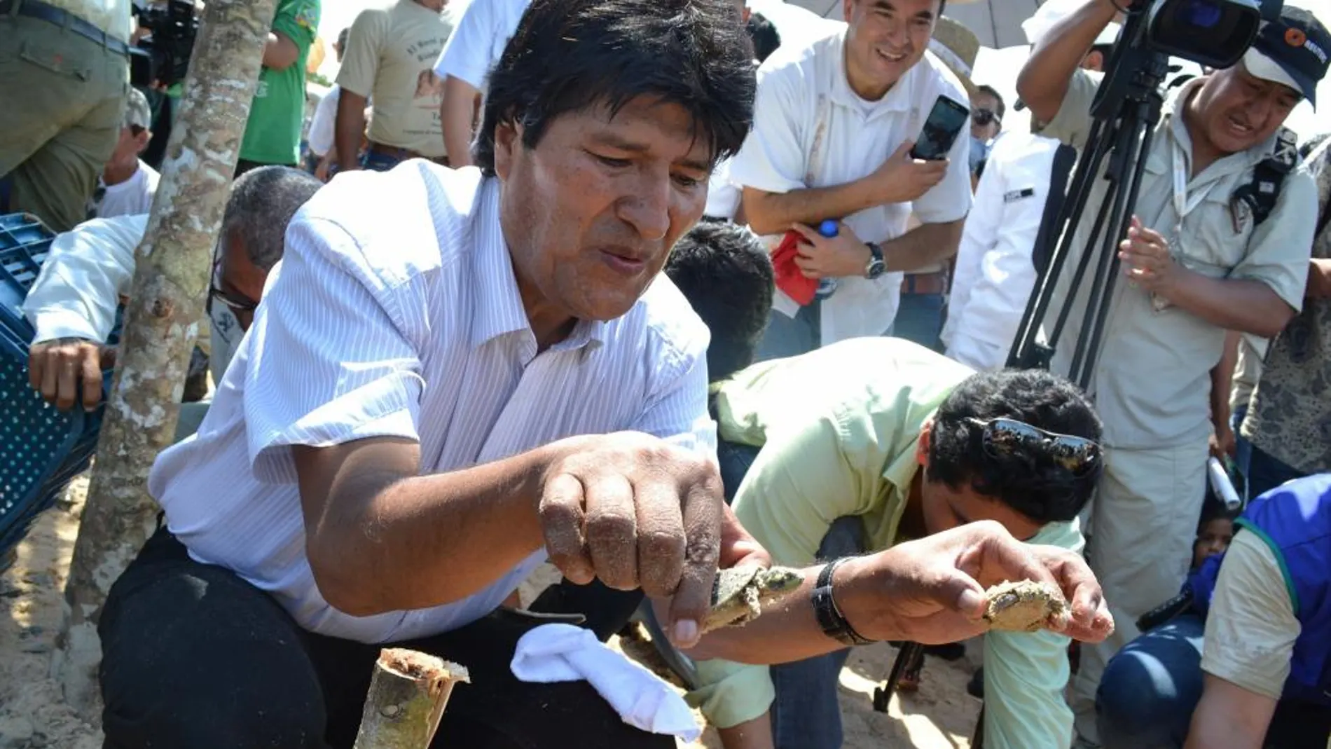 Evo Morales durante el proceso de liberación de cien mil tortugas en el río Iténez