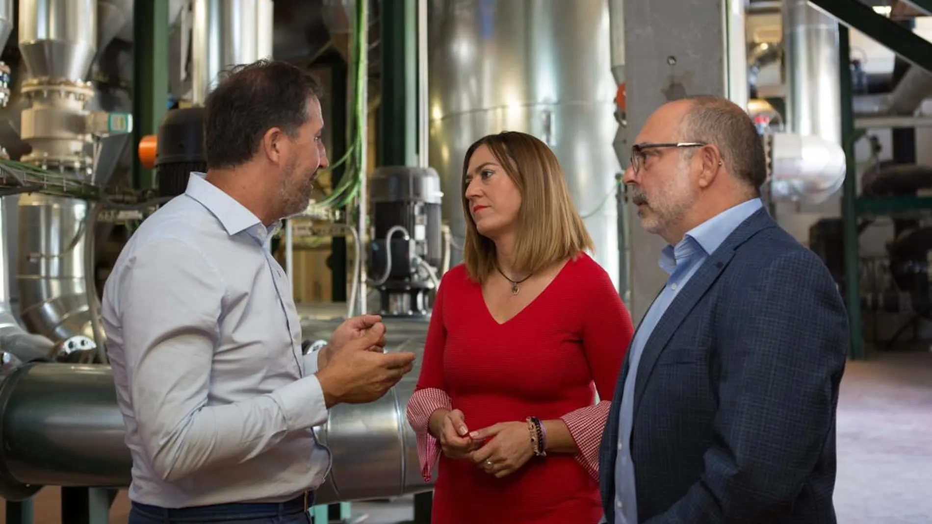 La delegada del Gobierno en Castilla y León, Virginia Barcones junto al subdelegado Miguel Latorre, y el director de Rebi, Alberto Gómez