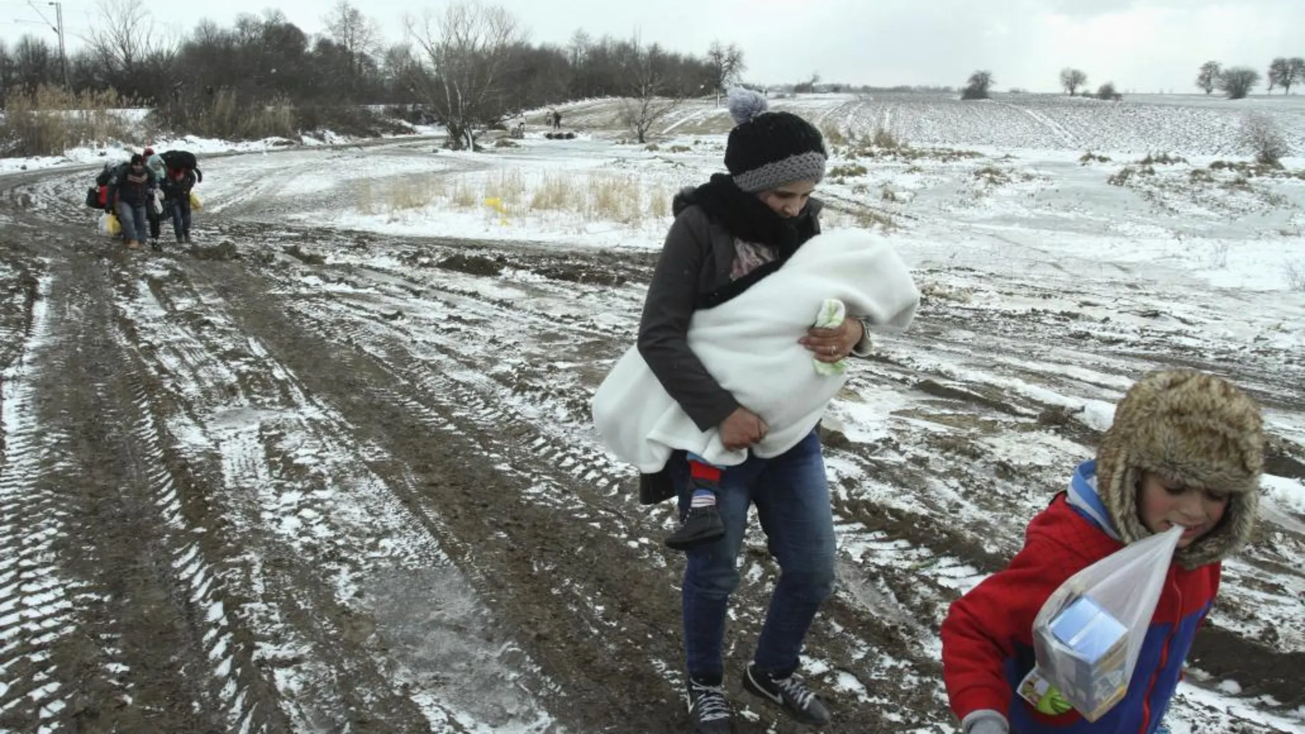 Refugiados de Siria, Irak y Afganistán caminan hacia un campamento temporal para inmigrantes en el pueblo de Miratovac, Serbia